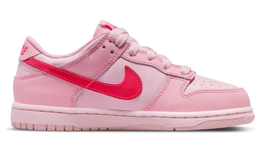 nike-dunk DH9756-600