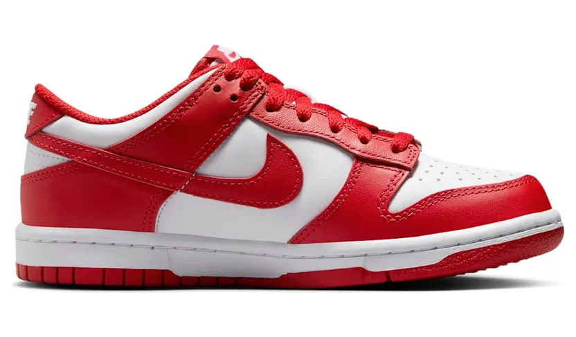 nike-dunk FB9109-119