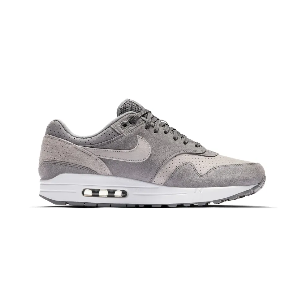 Nike Air Max 1 Cool Grey Wolf Grey (2018) (875844-005)