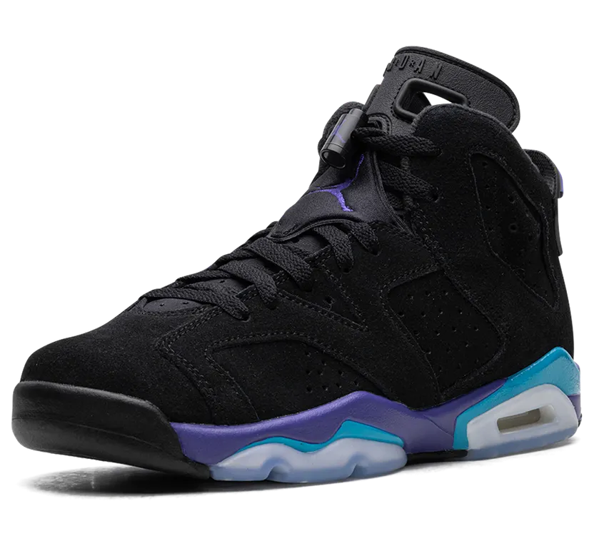 air-jordan-6 384665-004