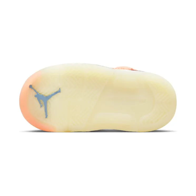 air-jordan-5 DV4981-641
