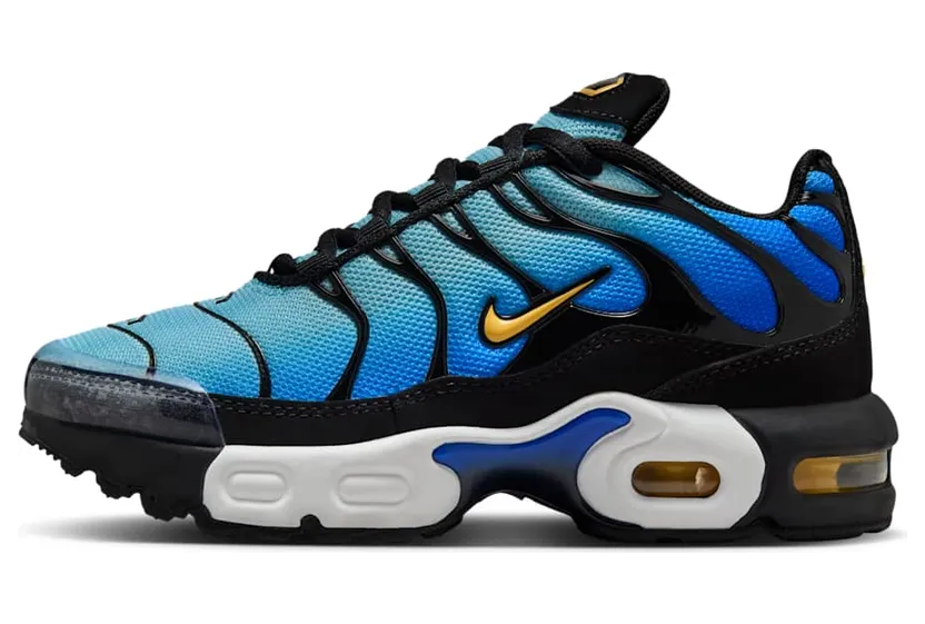 Nike Air Max Plus FZ0023-032