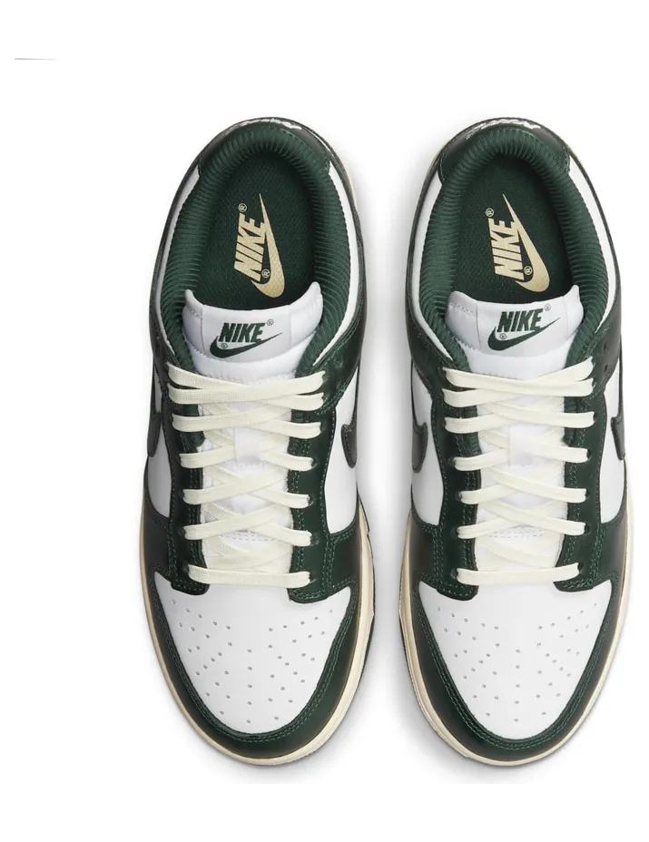 nike-dunk DQ8580-100