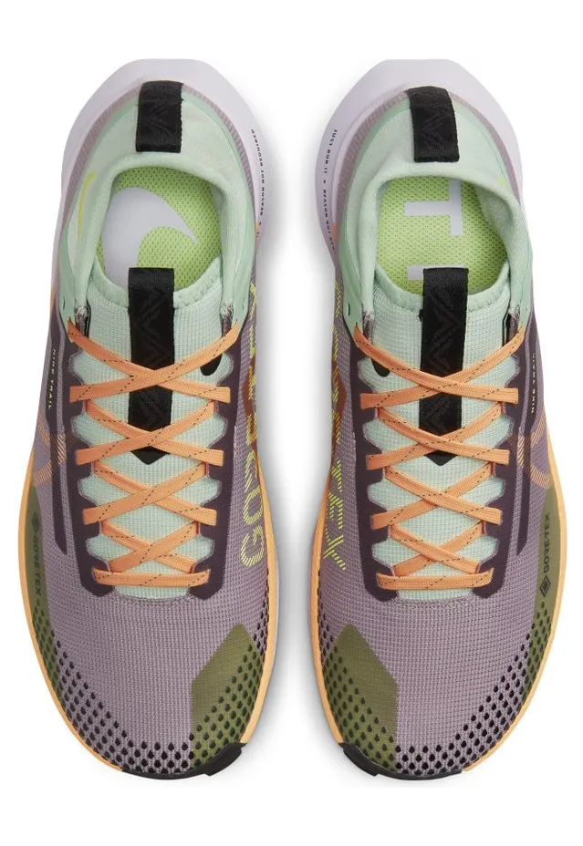 nike-air-pegasus DJ7929-500
