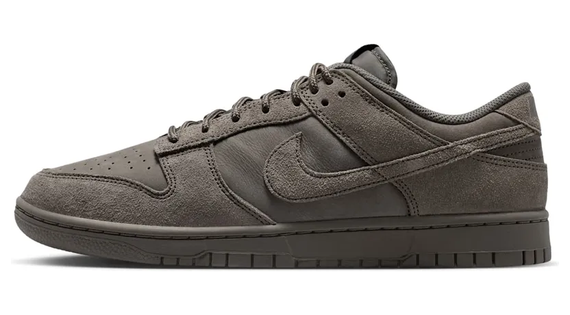 Nike Dunk Low IB6651-200