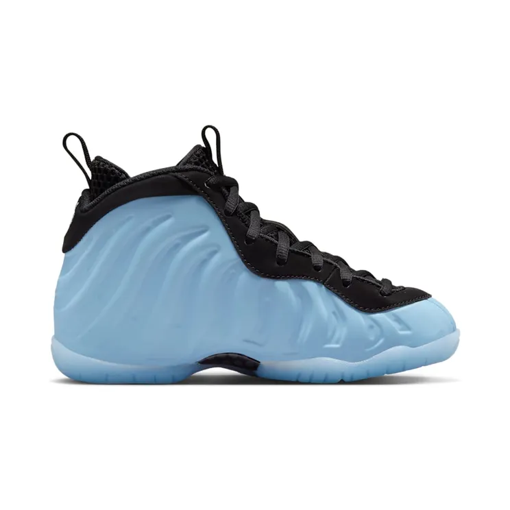 nike-little-posite HJ7655-400