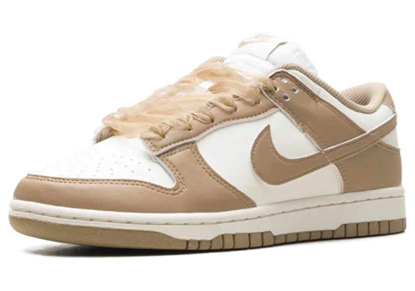 nike-dunk IB7311-101
