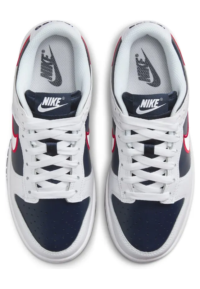nike-dunk DZ2780-100