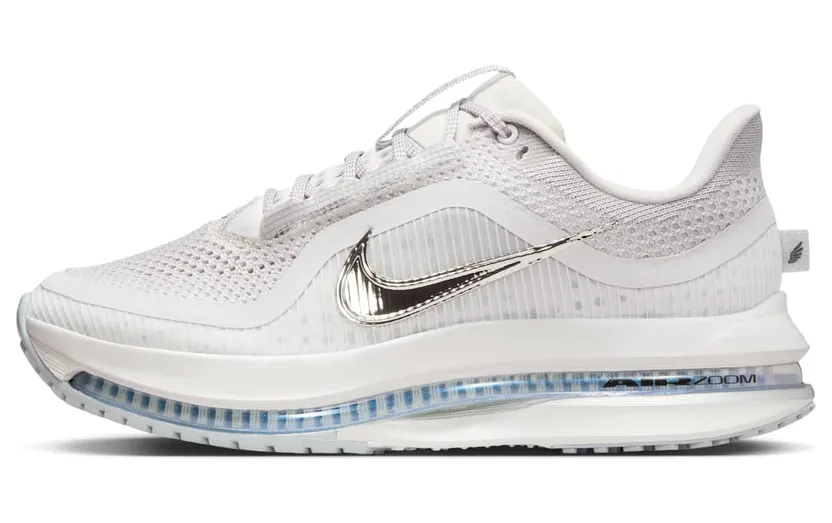 Nike Pegasus Premium “Metallic Silver” (HQ2593-005)