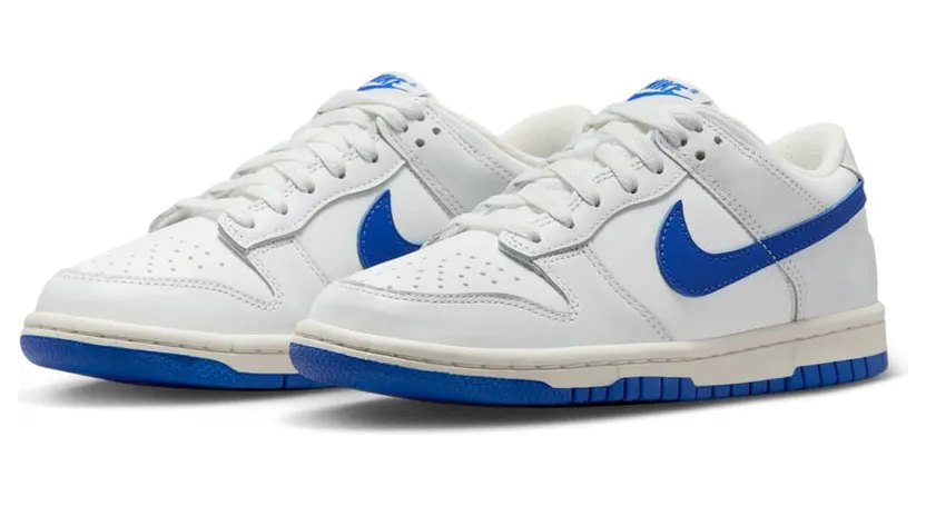 nike-dunk DH9765-105