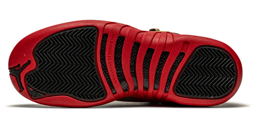 air-jordan-12 DH9695-001