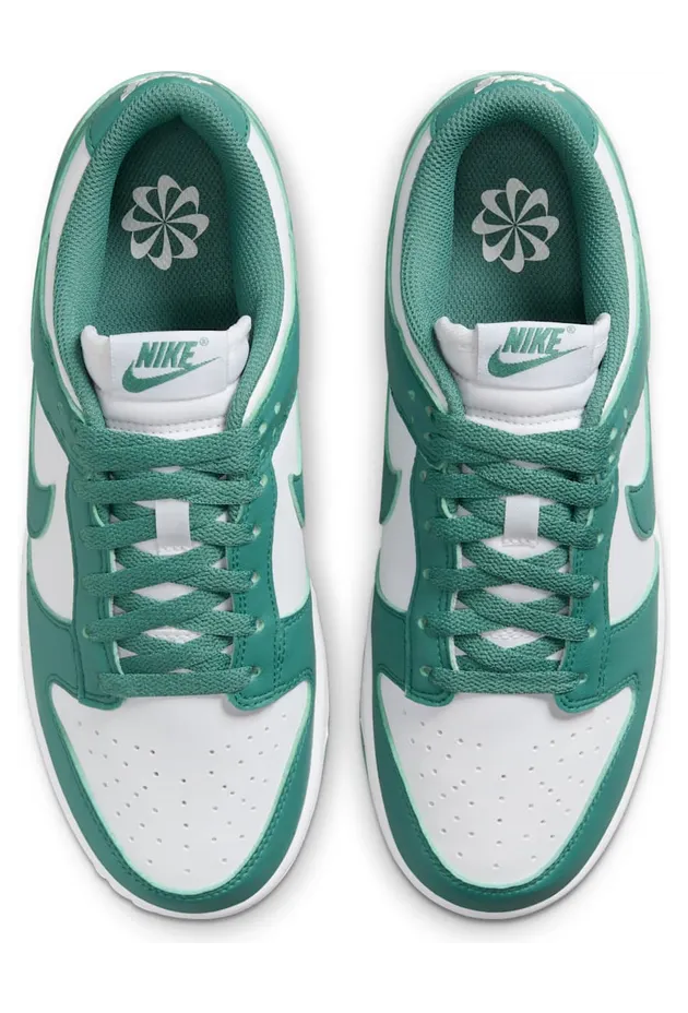 nike-dunk DD1873-107