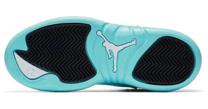 air-jordan-12 510816-100