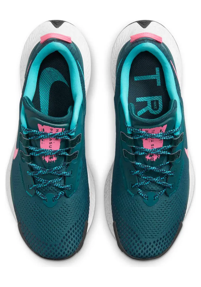 nike-air-pegasus DA8698-300