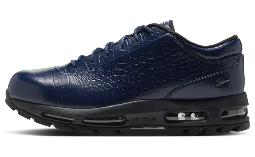 Nike Air Max Goadome Low (IV4517-400)