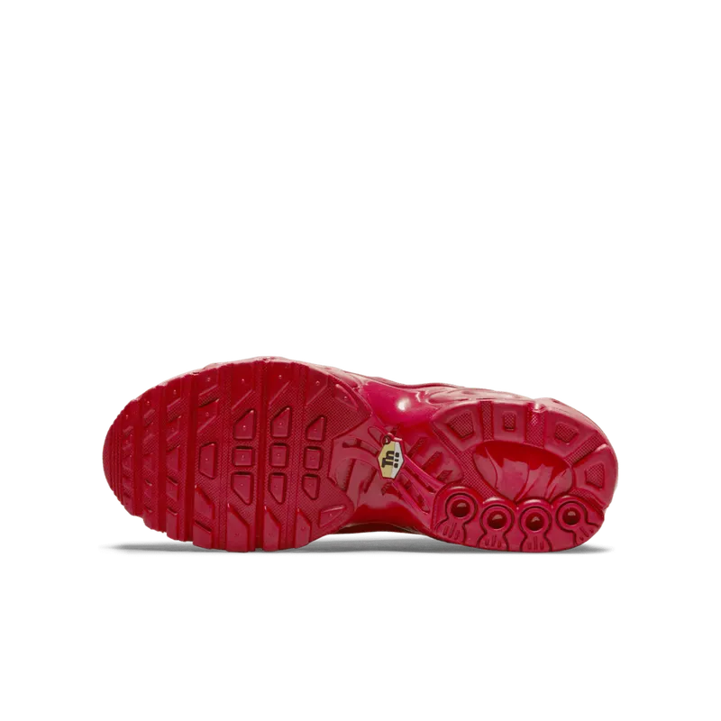 Nike Air Max Plus University Red (GS) (DM8877-600)