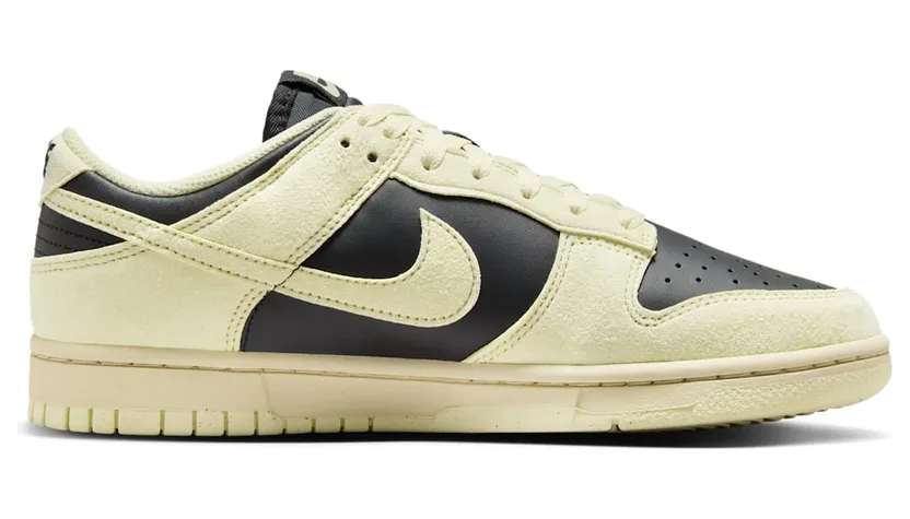 nike-dunk HJ7673-005