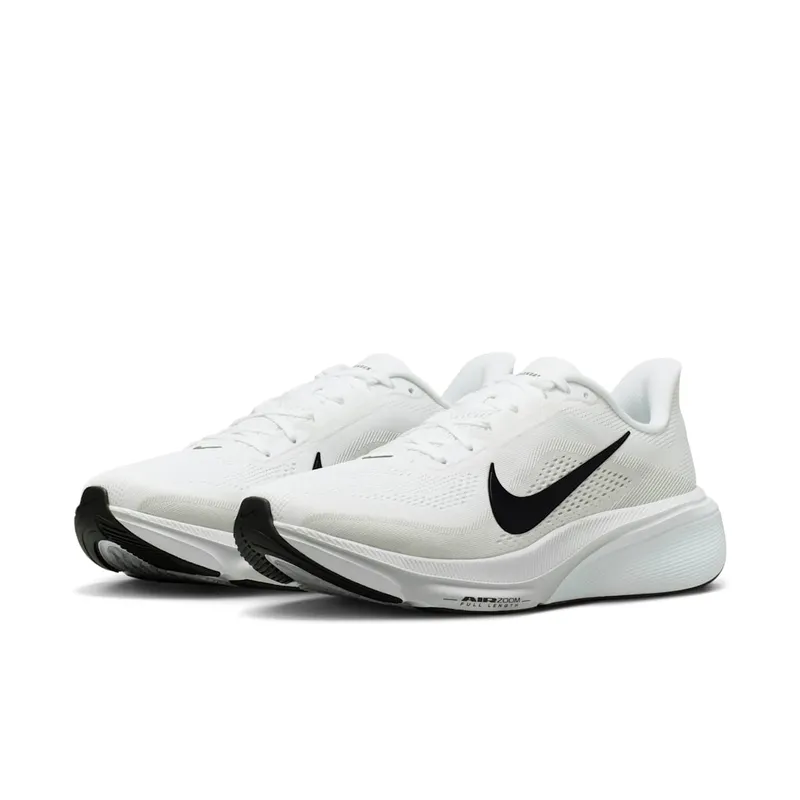 Nike Pegasus White/Photon Dust/Black (IB1873-101)