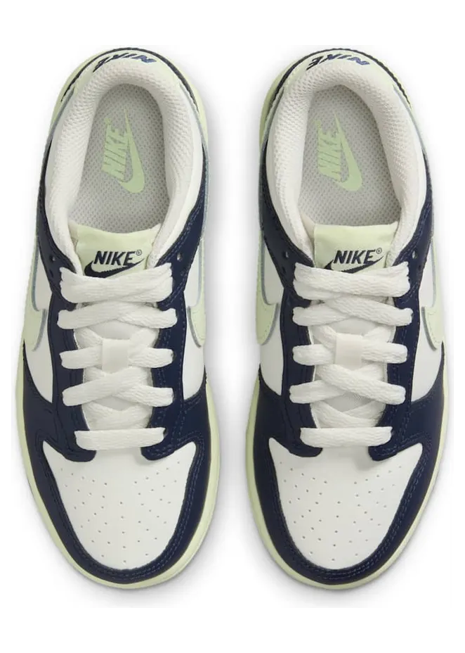 nike-dunk FB9108-127