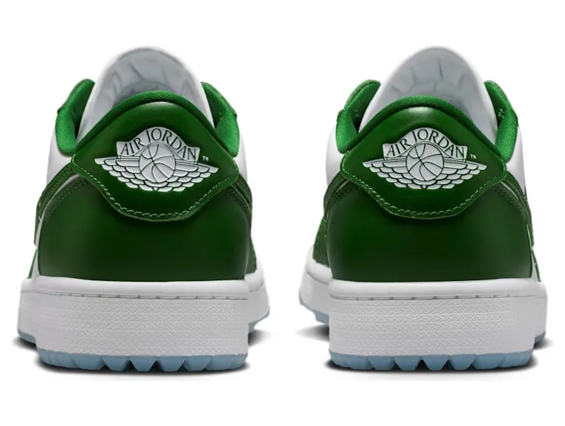 air-jordan-1 DD9315-300