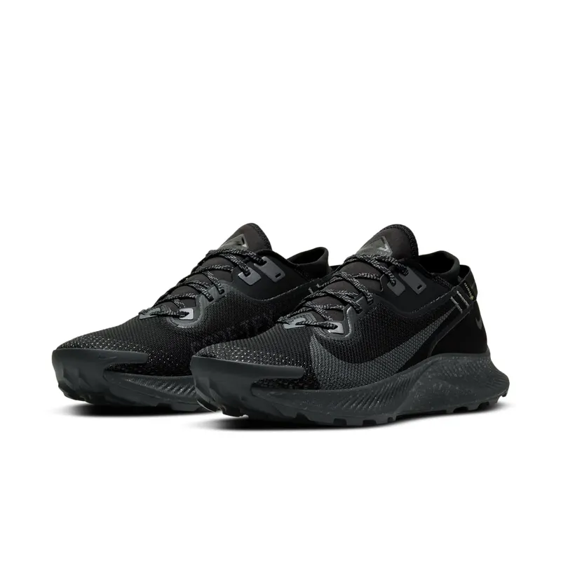 Nike Pegasus Trail 2 GORE-TEX Trail Running Black (CU2016-001)