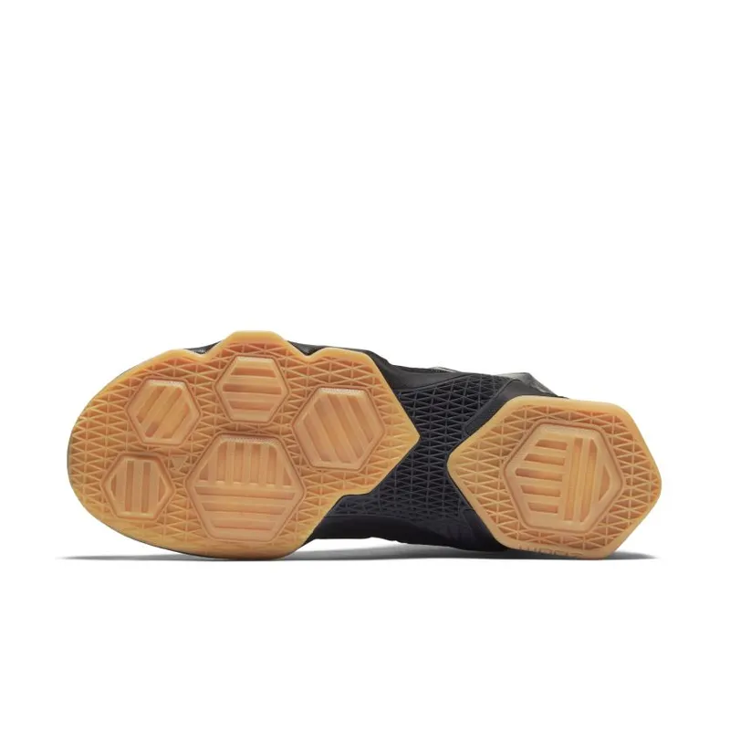 Nike LeBron 13 Black Lion Black/Black-Anthracite (807219-001)