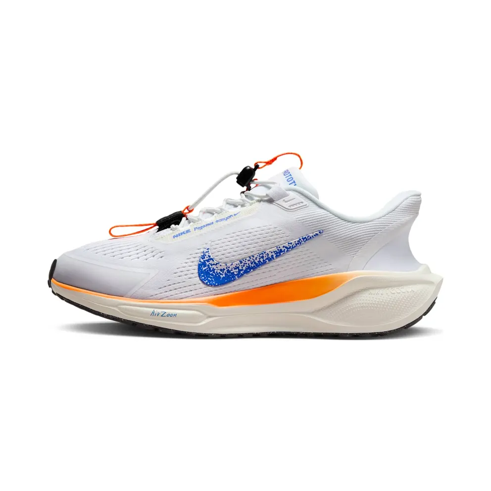 Nike Air Zoom Pegasus 41 EasyOn Blueprint Multi-Color (HM0375-900)