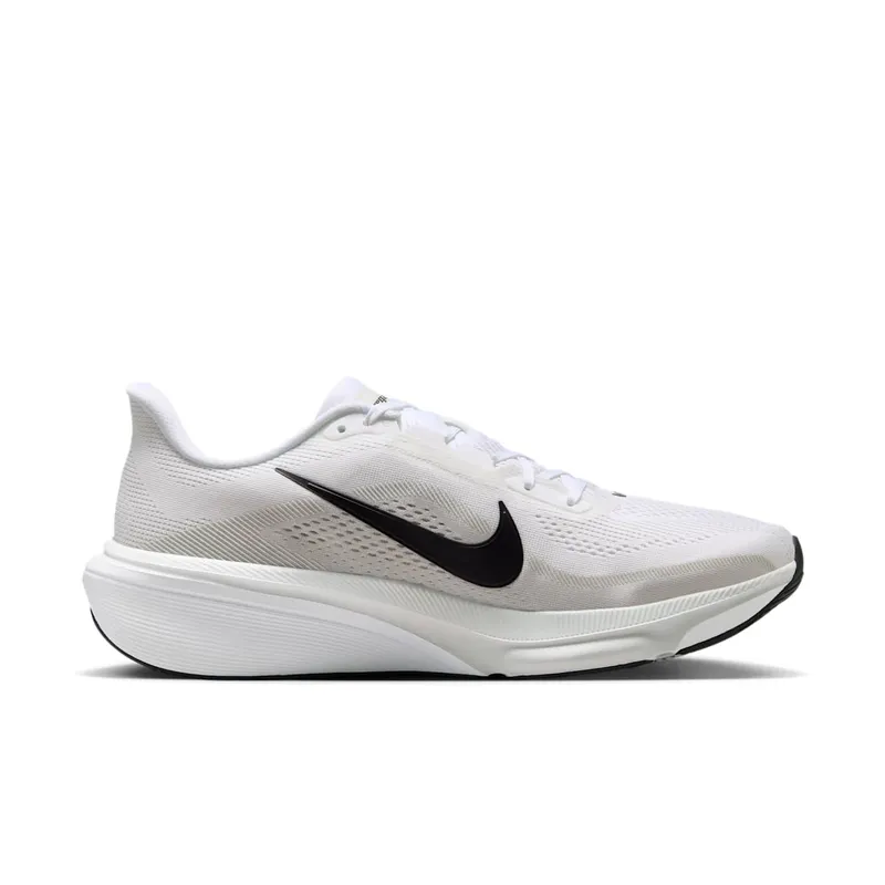 Nike Pegasus White/Photon Dust/Black (IB1873-101)