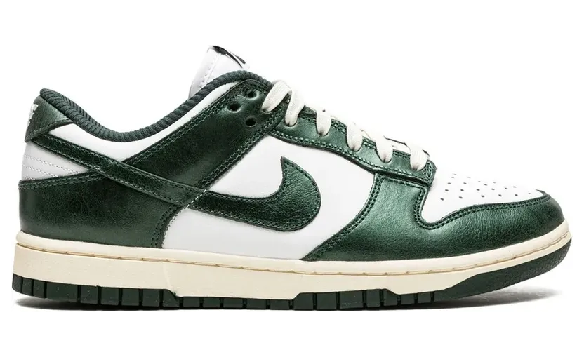 nike-dunk DQ8580
