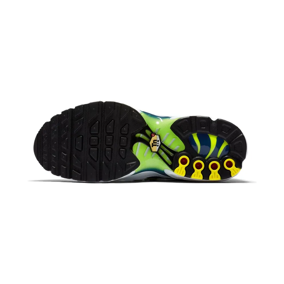Nike Air Max Plus Older Kids’ White (CD0609-101)