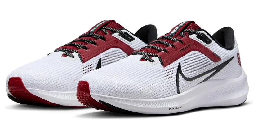 nike-air-pegasus DZ5984-100