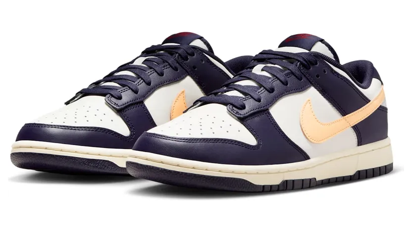 nike-dunk FV8106-181