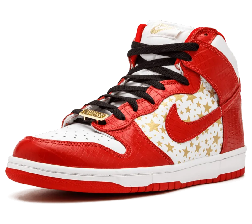 nike-dunk 307385-161