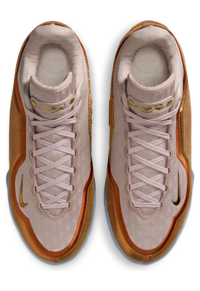 nike-lebron IH1513-602