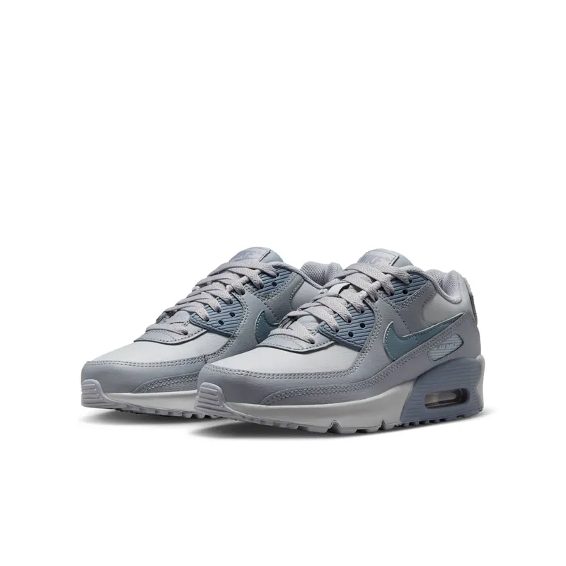 Nike Air Max 90 LTR Wolf Grey Stealth Armory Blue (CD6864-032)