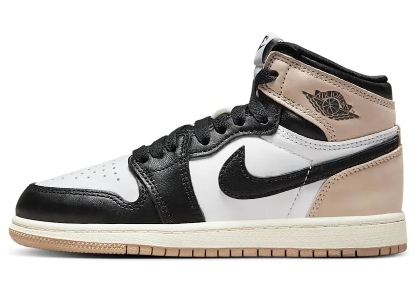 Air Jordan 1 High FD2597-021