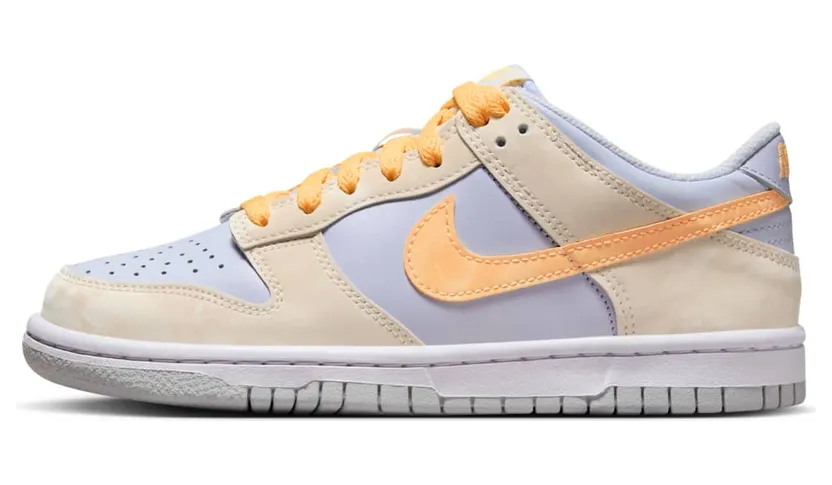 Nike Dunk Low FB9109-100