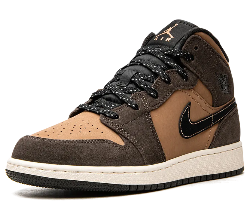 air-jordan-1 DC7248-200