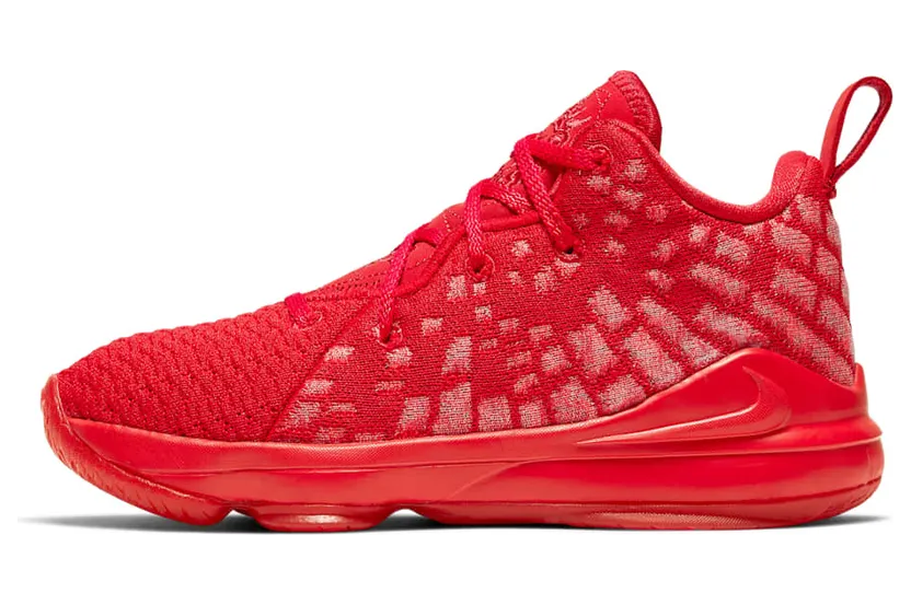 Nike LEBRON XVII (PS) YOUNG ATHLETES SPORT (BQ5595-600)