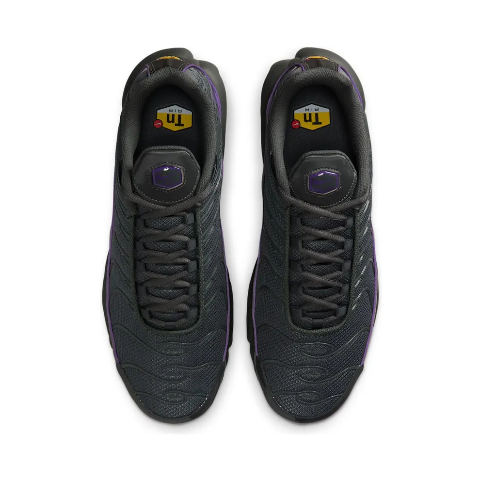 Nike Air Max Plus OG Iron Grey Wild Grape (HV8066-001)