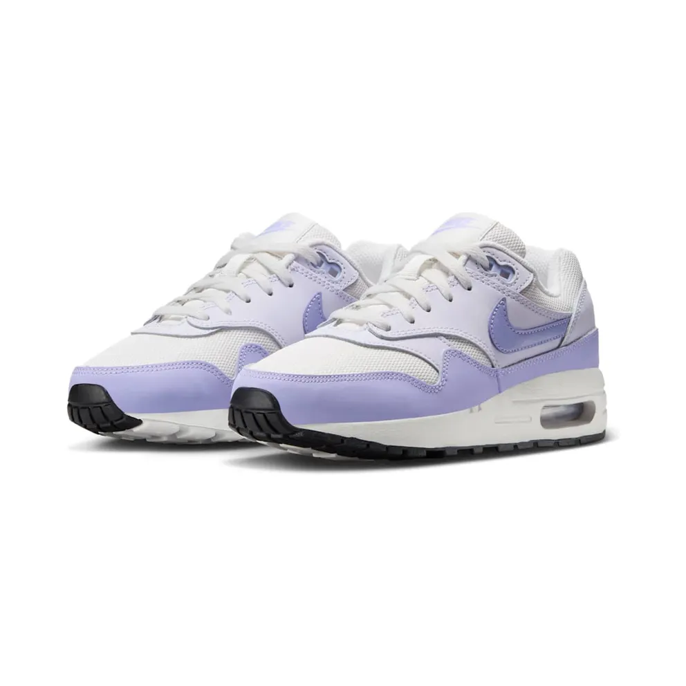 Nike Air Max 1 Platinum Tint Barely Grape Black Hydrangeas (DZ3307-011)