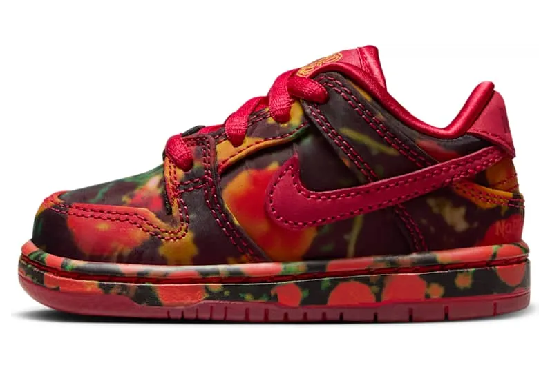 Nike SB FZ1237-600