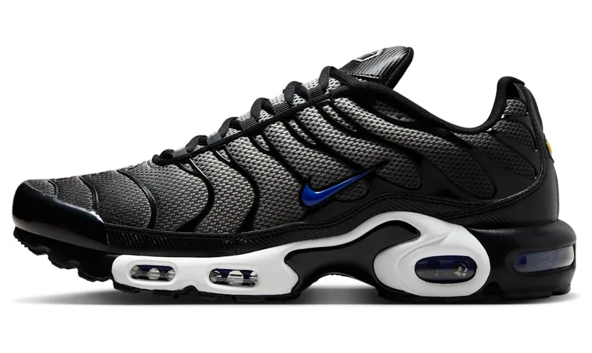 Nike Air Max Plus HM0709-100
