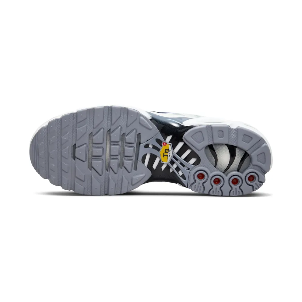 Nike Air Max Plus Smoke Grey Ashen Slate (FQ2892-100)