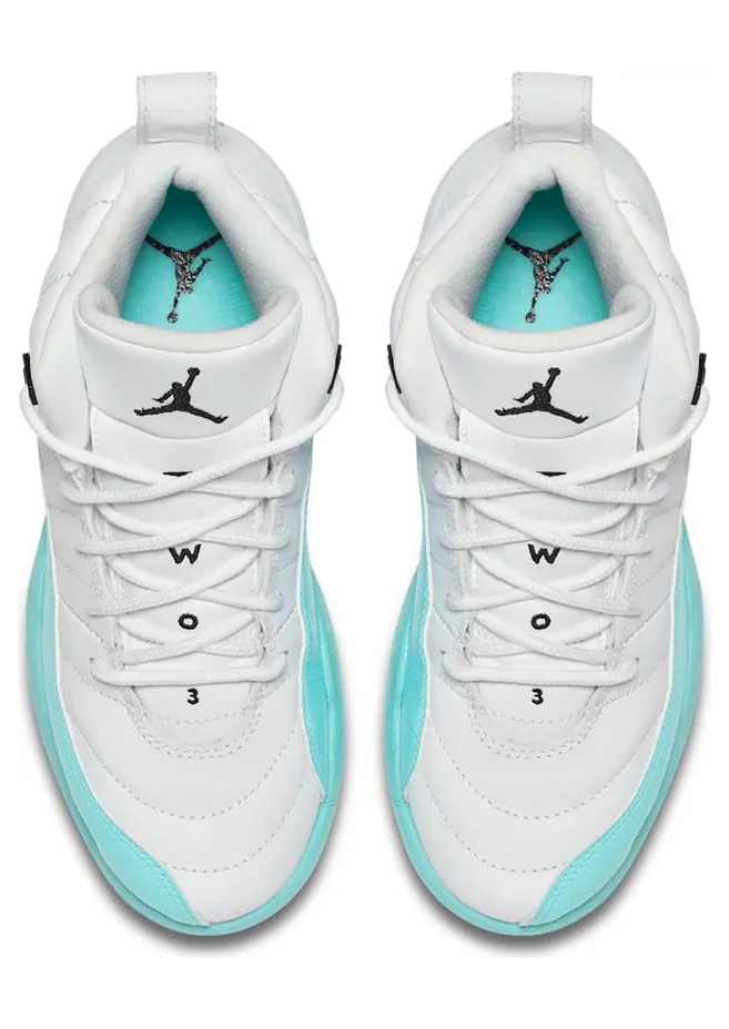 air-jordan-12 510816-100