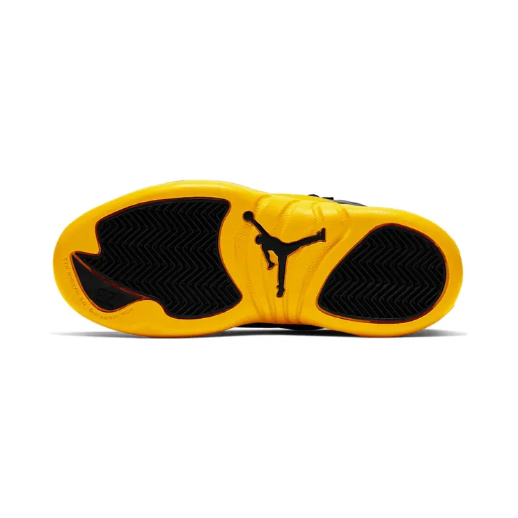 air-jordan-12 151186-070