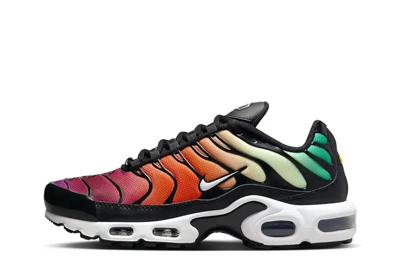 Nike Air Max Plus Rainbow (DZ3670-001)
