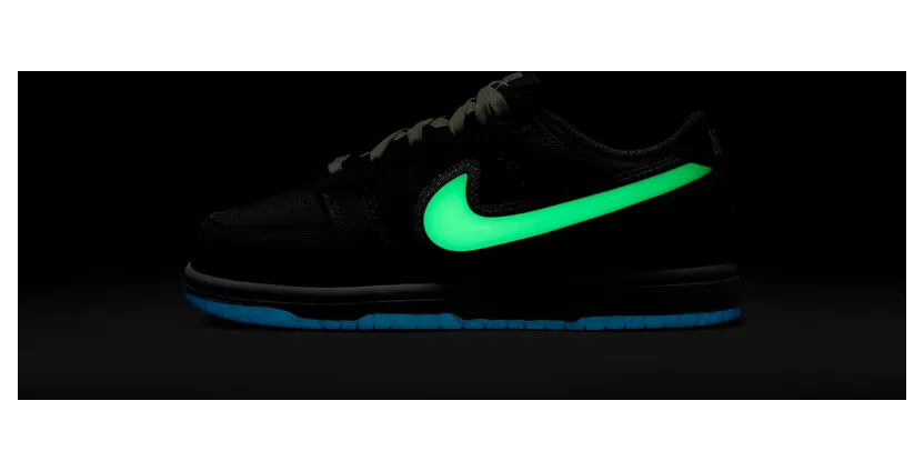 nike-dunk HQ3241-068