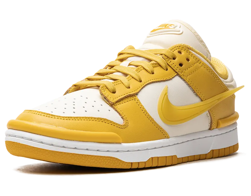 nike-dunk DZ2794-100