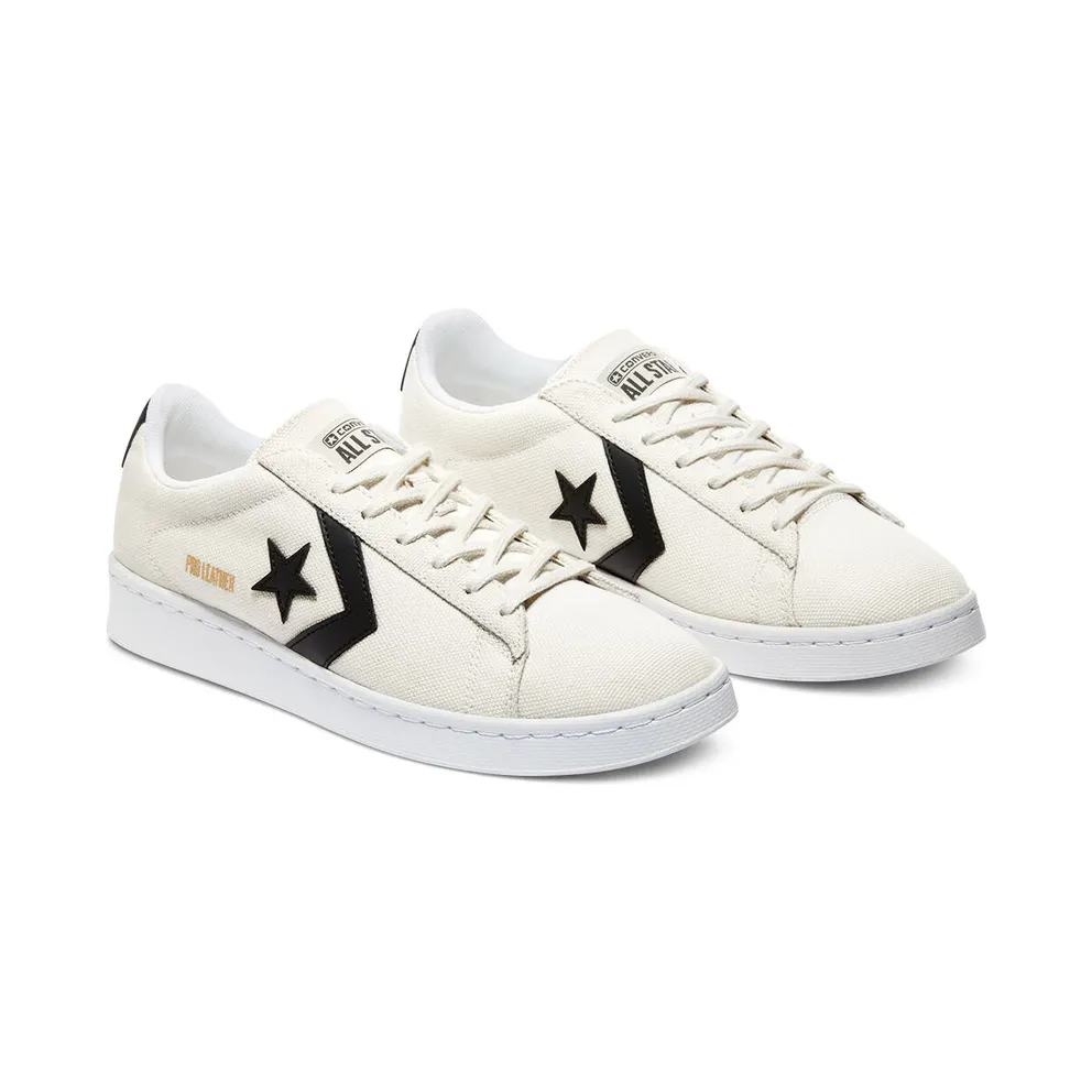 Converse Court Daze Pro Leather Low Top Egret/Black/White (170752C)